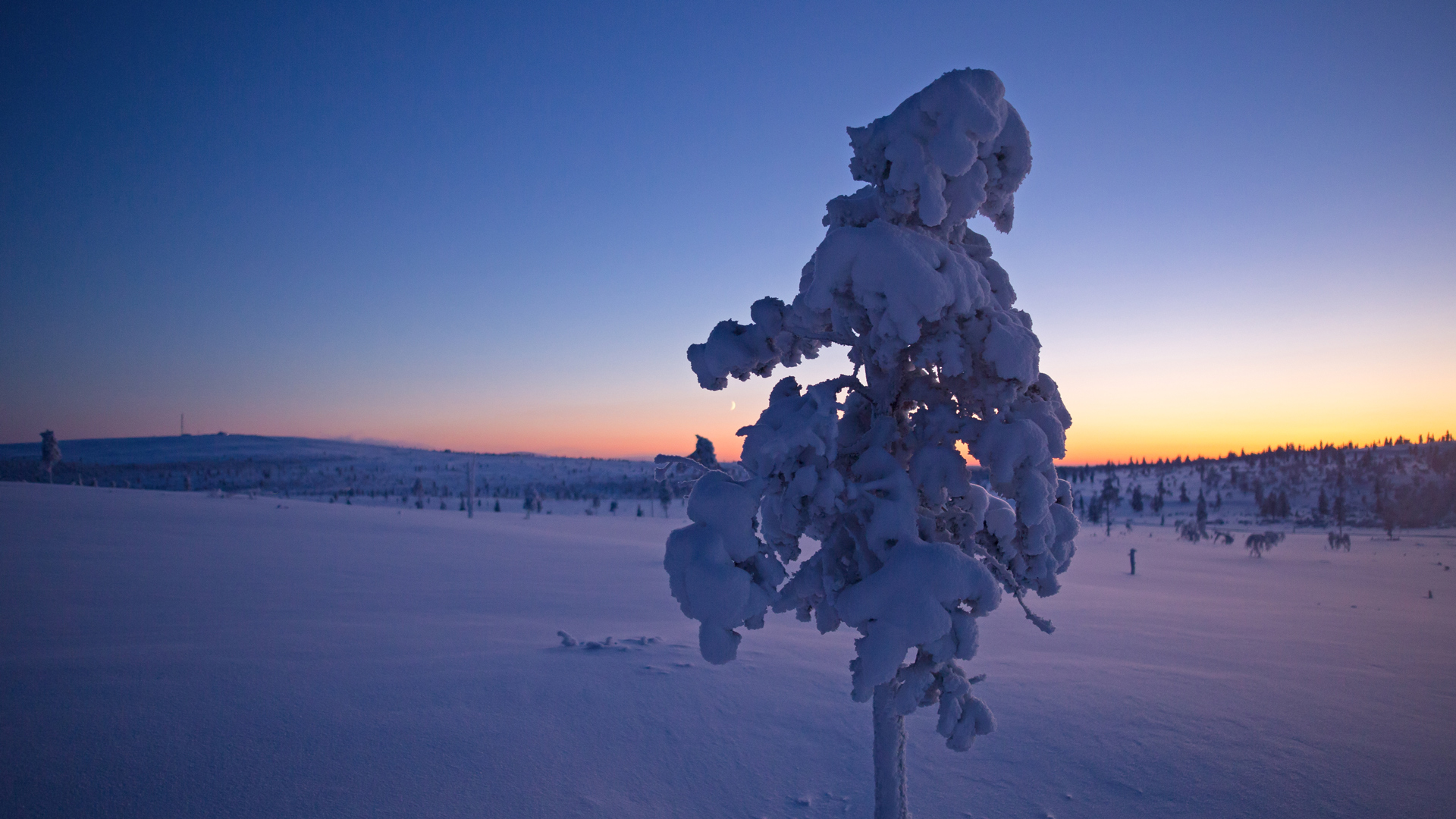 Lapland mùa đông – vùng đất cực Bắc nơi thiên nhiên và nhịp sống chậm giữ lại bản sắc nguyên sơ của Phần Lan.