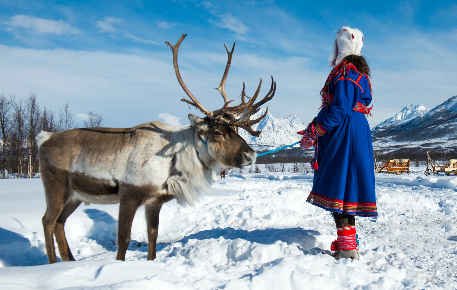 Chăn nuôi tuần lộc của người Sami không mang tính kiểm soát tuyệt đối, mà là mối quan hệ cộng sinh, trong đó con người di chuyển và điều chỉnh theo đàn vật nuôi và điều kiện tự nhiên.