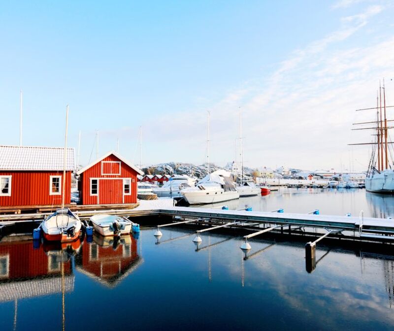 Dong Anh Pham: “Tôi viết để kết nối hai bờ văn hoá”