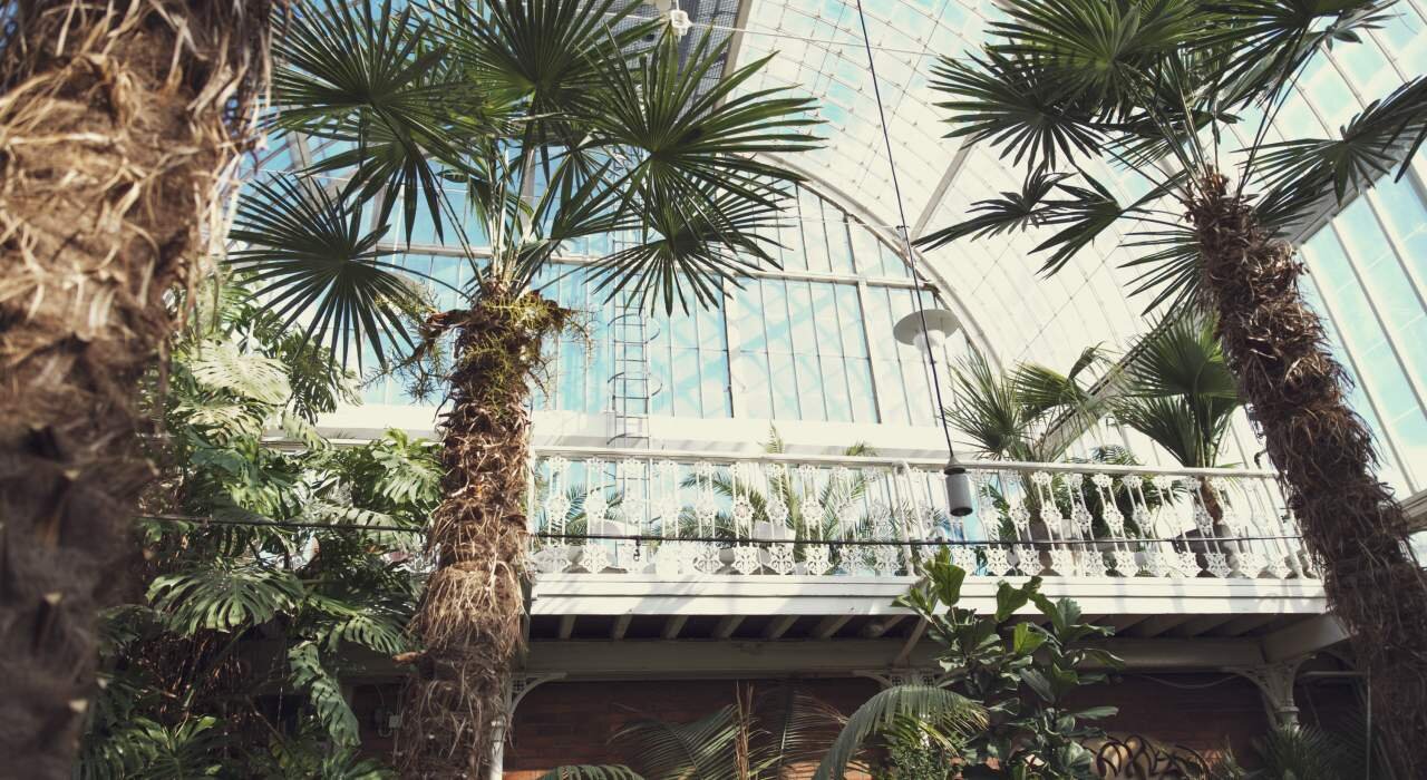 Trädgårdsföreningen – công viên trung tâm, nơi người Gothenburg nghỉ ngơi và tái tạo năng lượng.